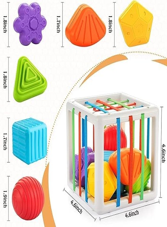 HELLYZ Shape Sorter Baby Toys for 12-18 Months | Montessori Learning Developmental Toys with Storage Cube & 6 Sensory Shape Blocks | Educational Gifts for Toddlers Age 1 2 3, Multicolor - Image 4